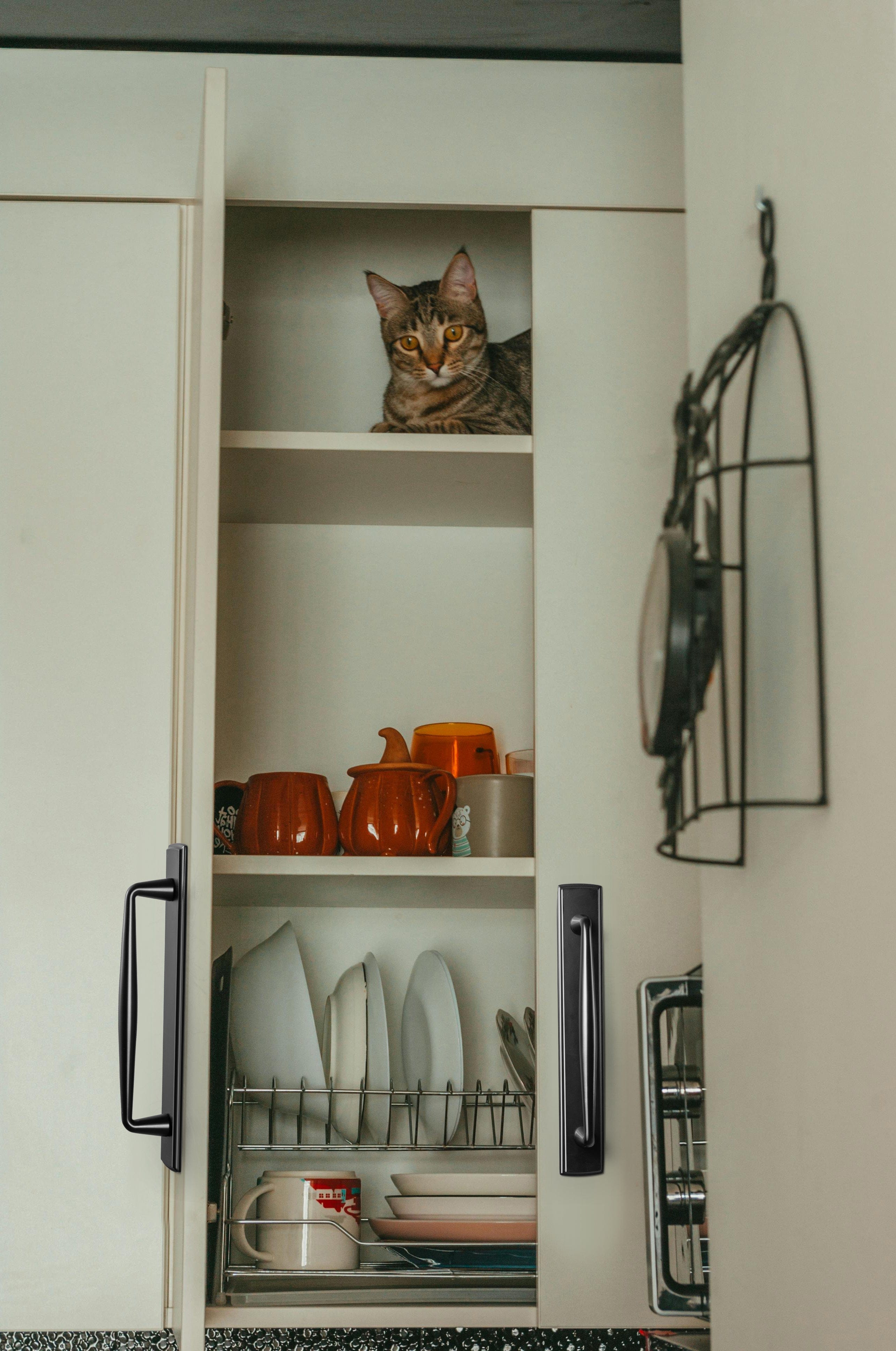 2 Pack Vintage Zinc Alloy Cabinet Pulls with Back Plate - Furniture Handles for Kitchen Cupboards