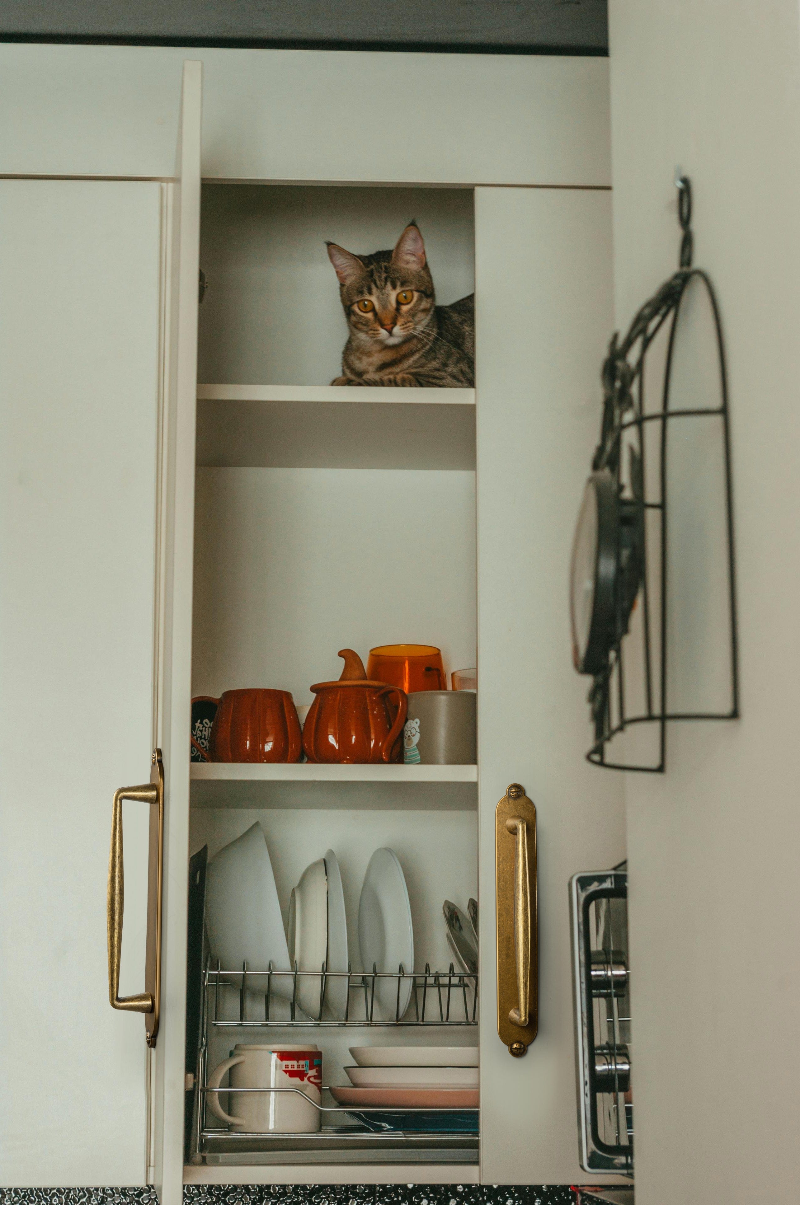 2 Pack Vintage Zinc Alloy Cabinet Pulls with Back Plate - Furniture Handles for Kitchen Cupboards