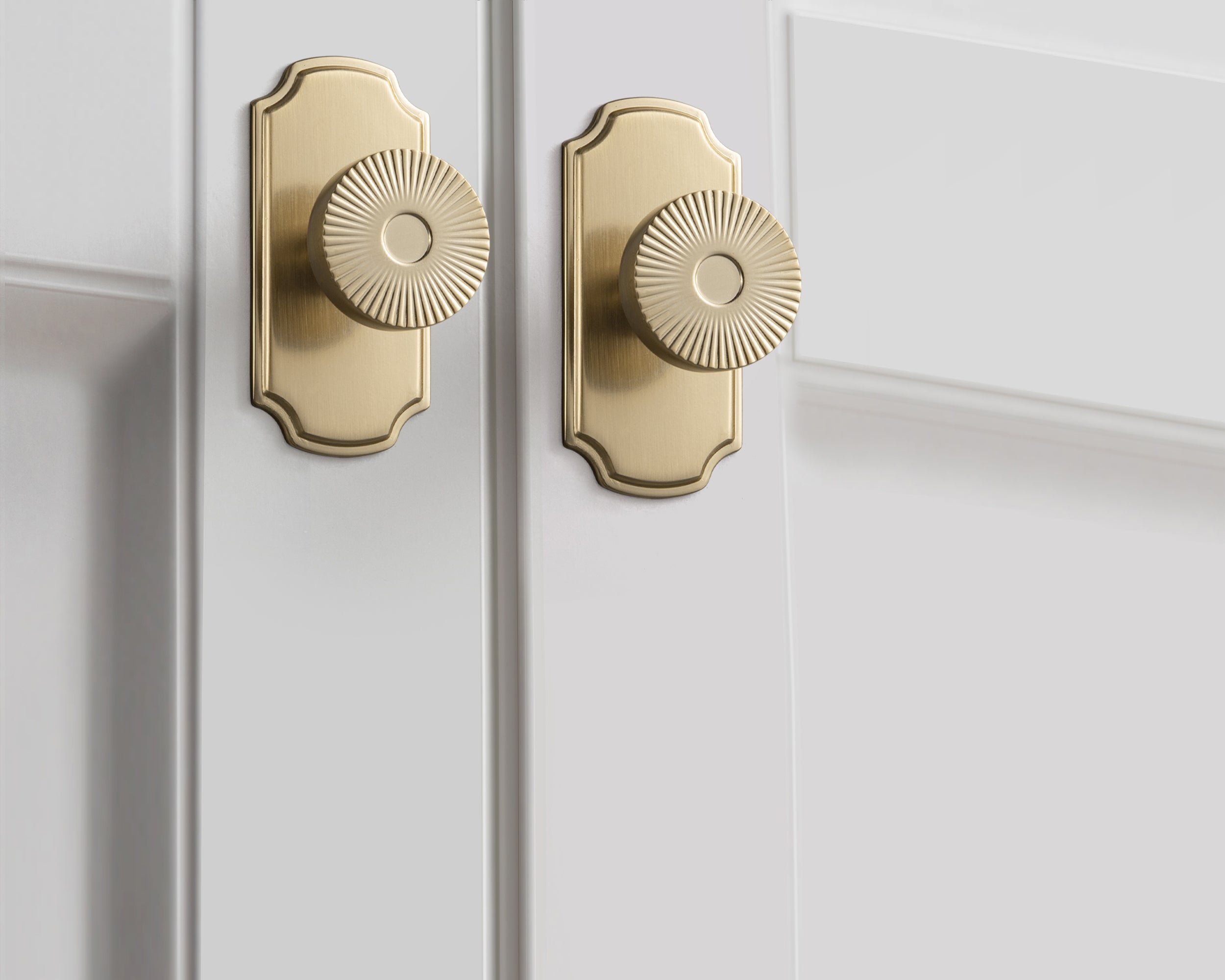 Retro Radiating Pattern Cabinet Knob with Ornate Backplate, Solid Zinc Alloy Drawer Knob for Classic Cabinet Renovation