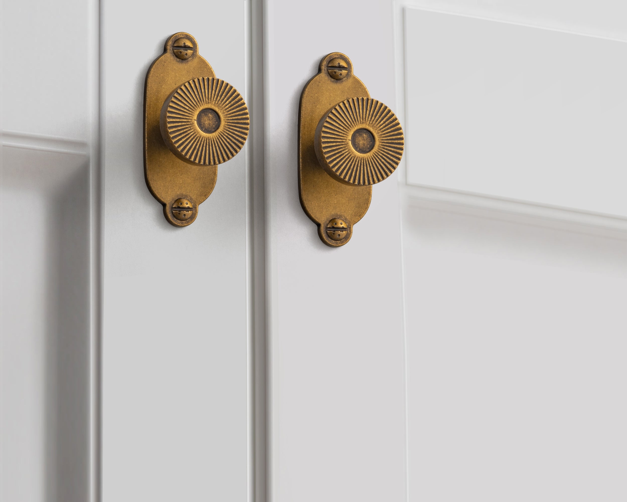 Retro Radiating Pattern Cabinet Knob with Ornate Backplate, Solid Zinc Alloy Drawer Knob for Classic Cabinet Renovation