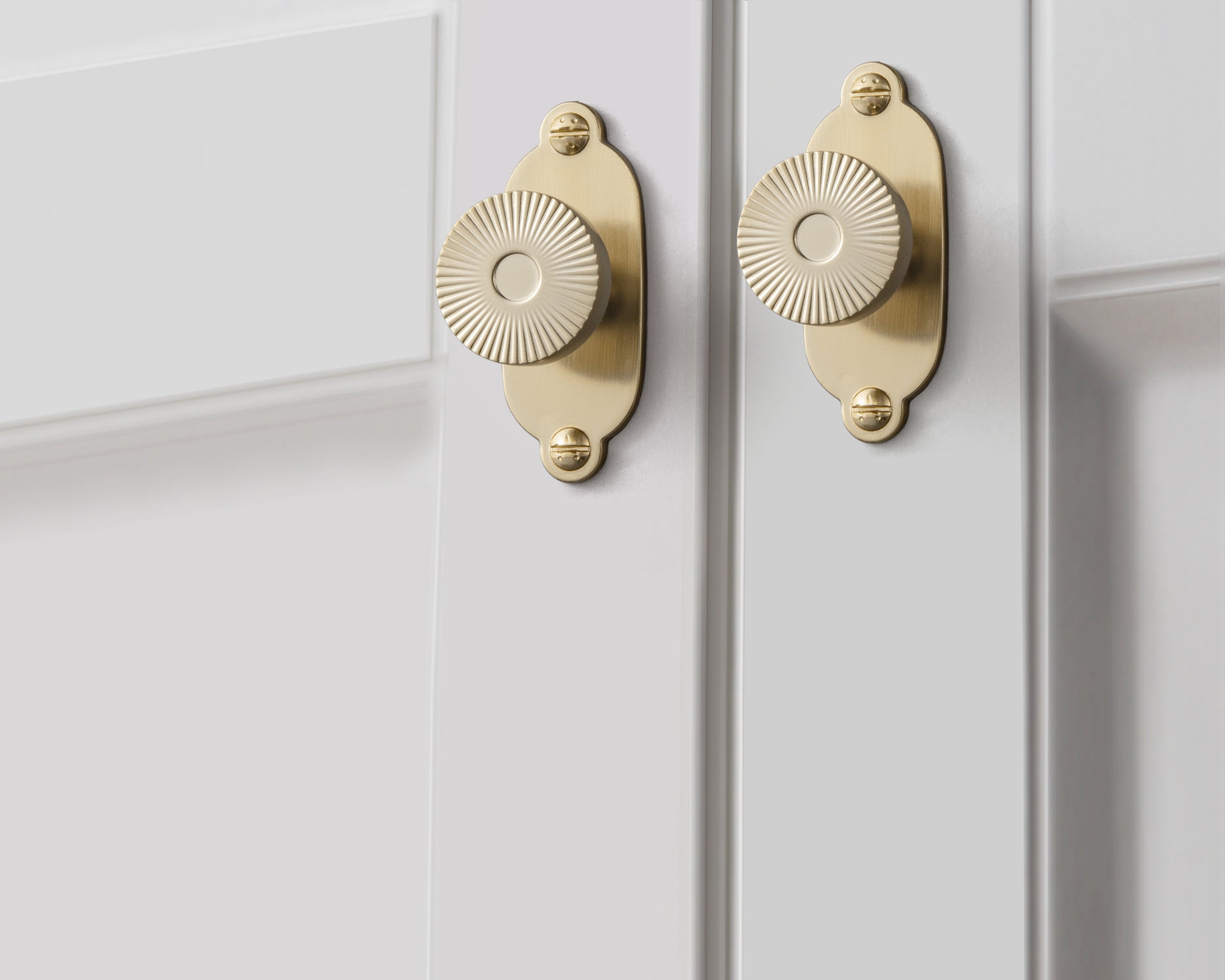 Retro Radiating Pattern Cabinet Knob with Ornate Backplate, Solid Zinc Alloy Drawer Knob for Classic Cabinet Renovation