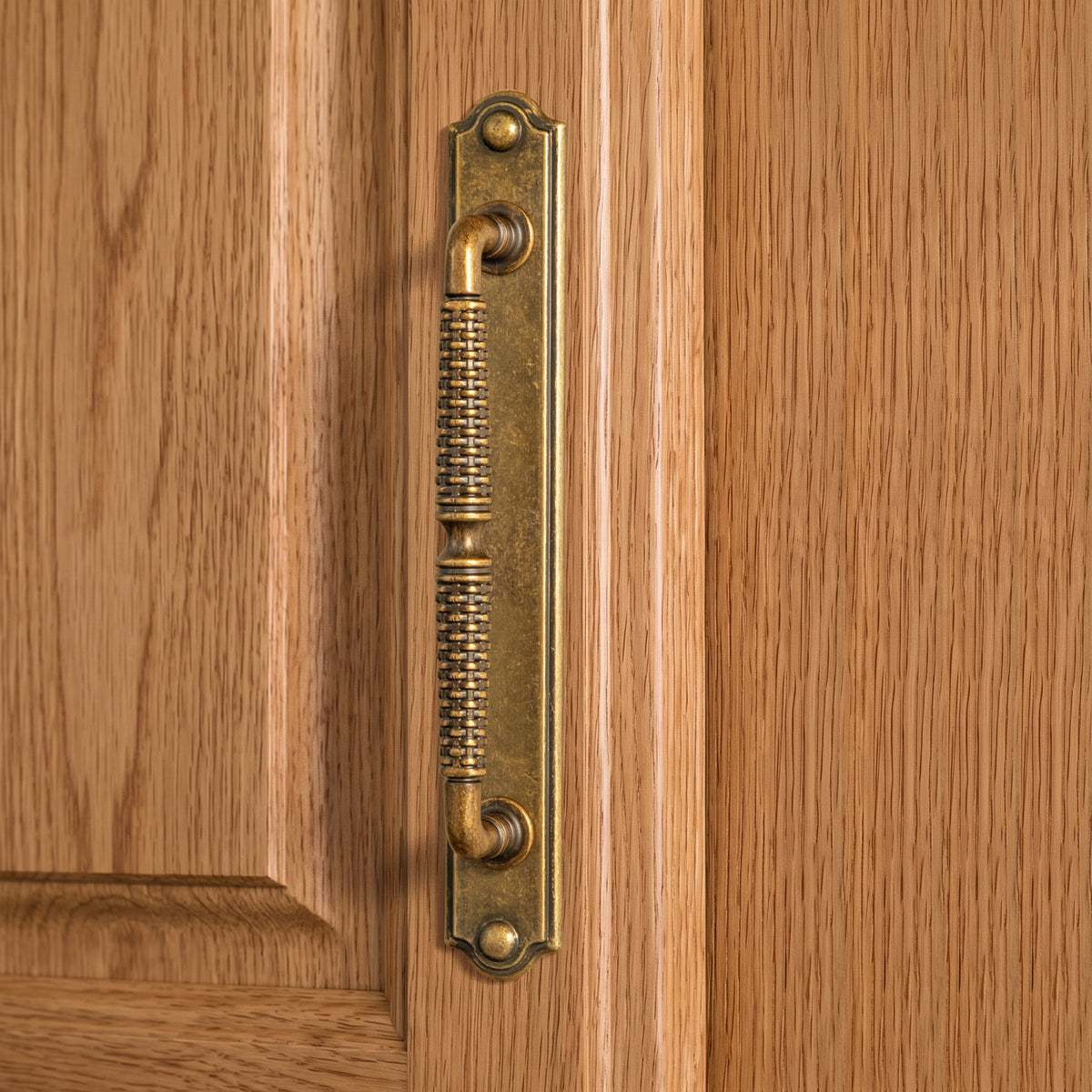 2 Pack Vintage Textured Zinc Alloy Drawer Pull Handles with Backplates for Cabinet & Furniture