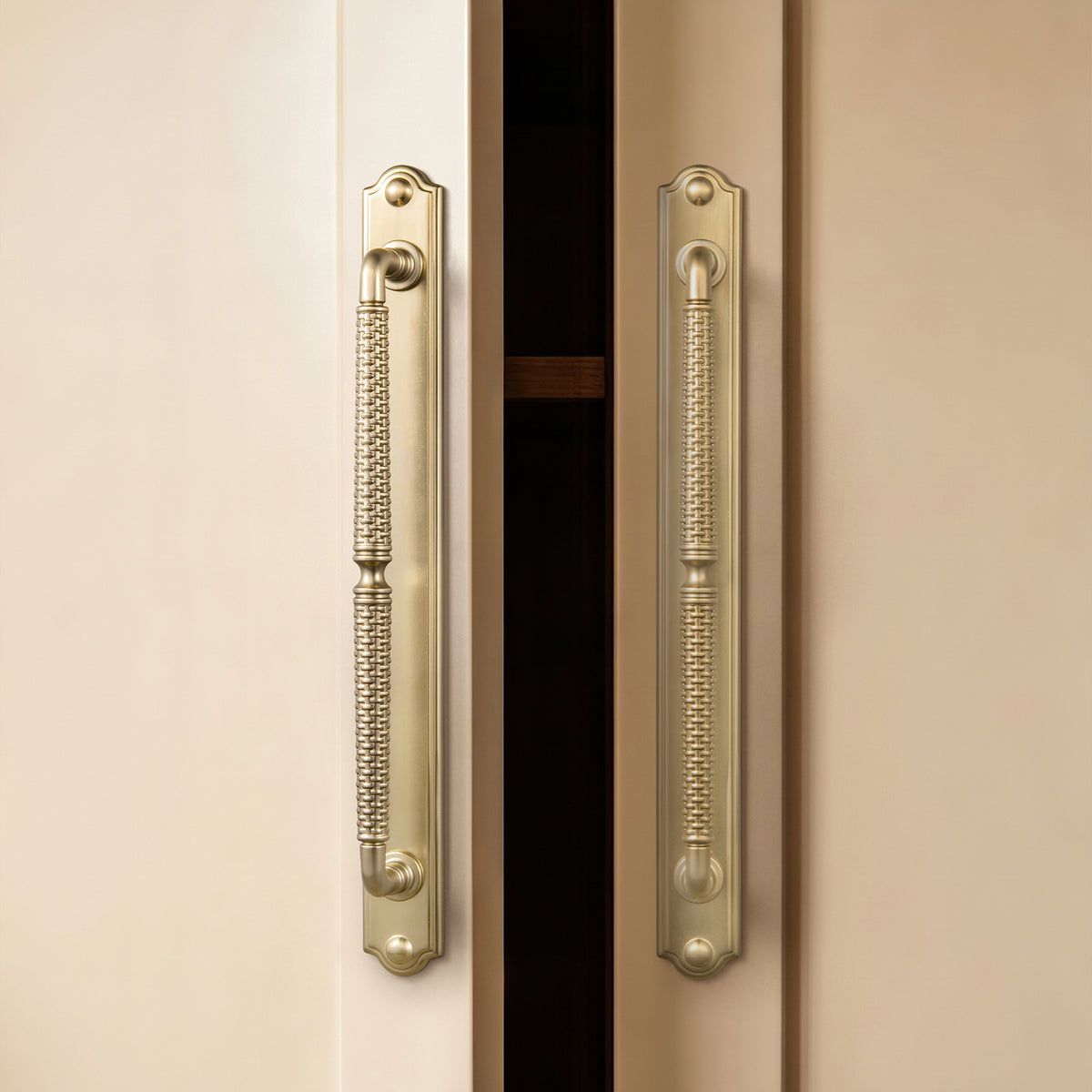 2 Pack Vintage Textured Zinc Alloy Drawer Pull Handles with Backplates for Cabinet & Furniture