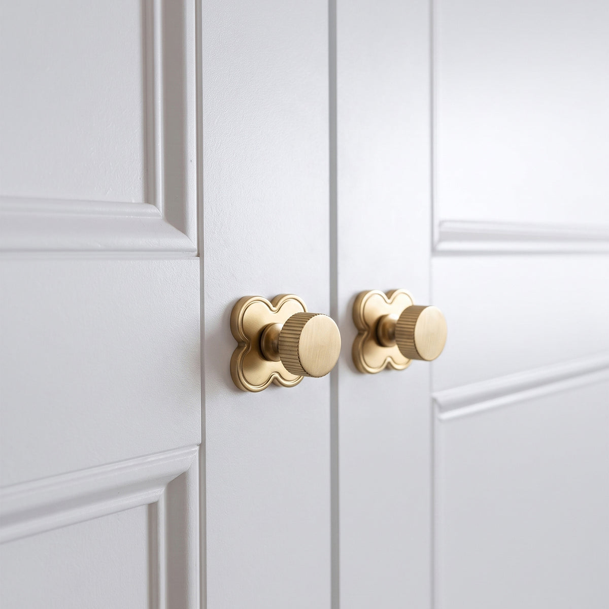 6 Pack Knurled Zinc Alloy Cabinet Knob with Assorted Decorative Backplates, Drawer Single Hole Knob