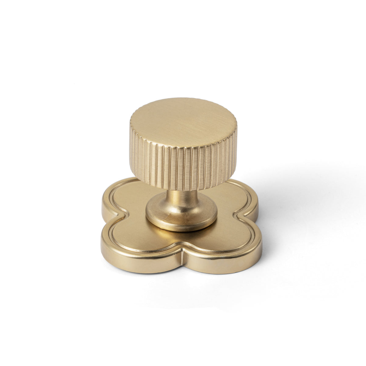 6 Pack Knurled Zinc Alloy Cabinet Knob with Assorted Decorative Backplates, Drawer Single Hole Knob