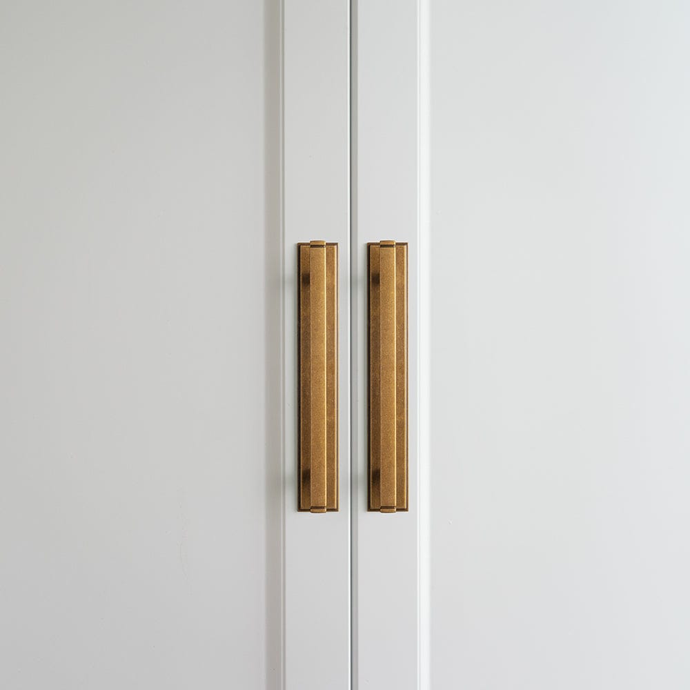 Goo-Ki 2 Pack Antique Brass Zinc Alloy Cabinet Pulls with Back Plate Kitchen Hardware Bar Handles
