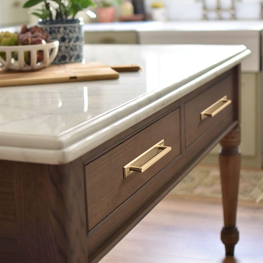 Goo-Ki 2 Pack Cabinet Handles with Back Plate Vintage Kitchen Drawer Pulls with Subtle Curves