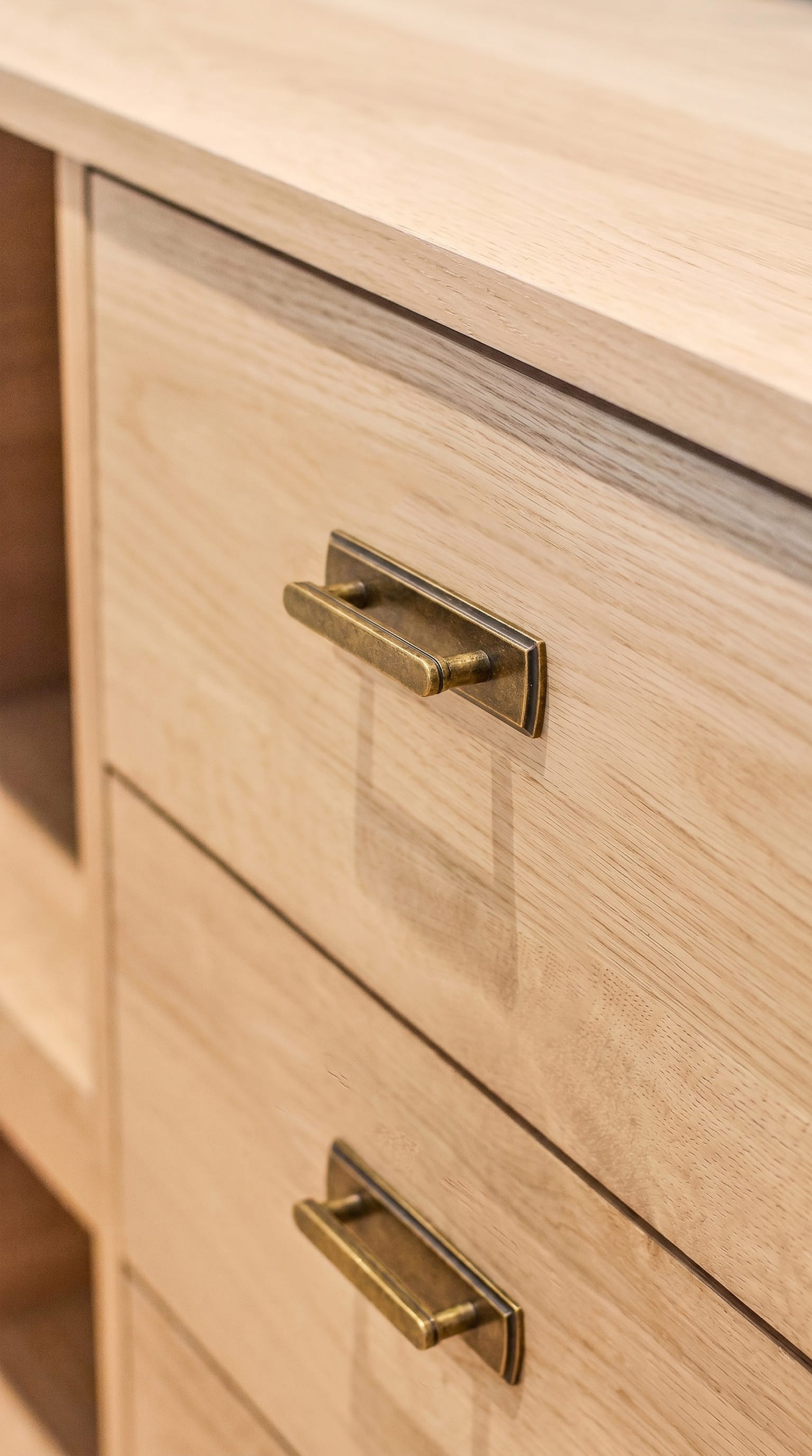 Goo-Ki 2 Pack Cabinet Handles with Back Plate Vintage Kitchen Drawer Pulls with Subtle Curves