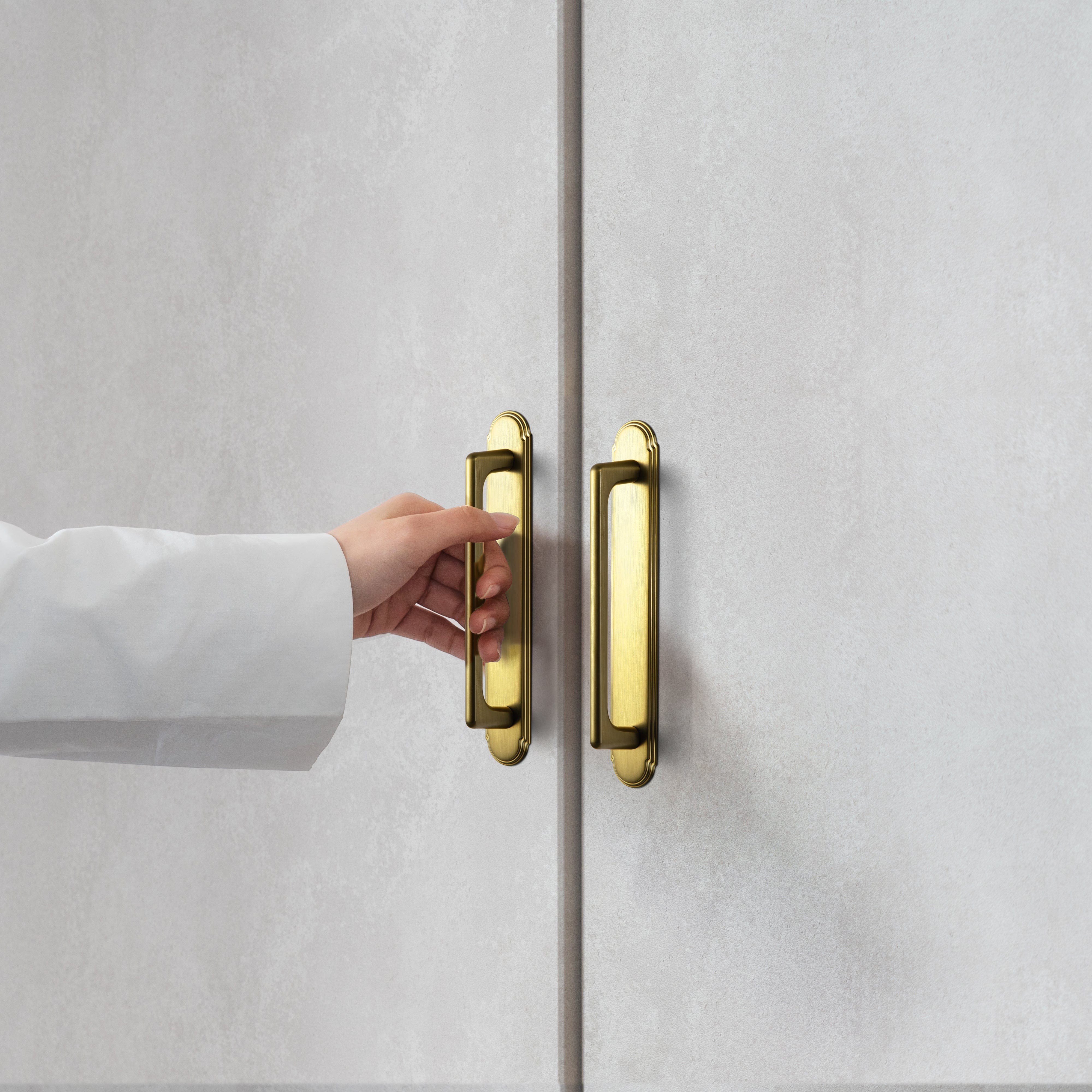 Goo-Ki 2 Pack Cabinet Pulls with Oval-shaped Back Plate Zinc Alloy Cabinet Handle with Long Back Plate G014