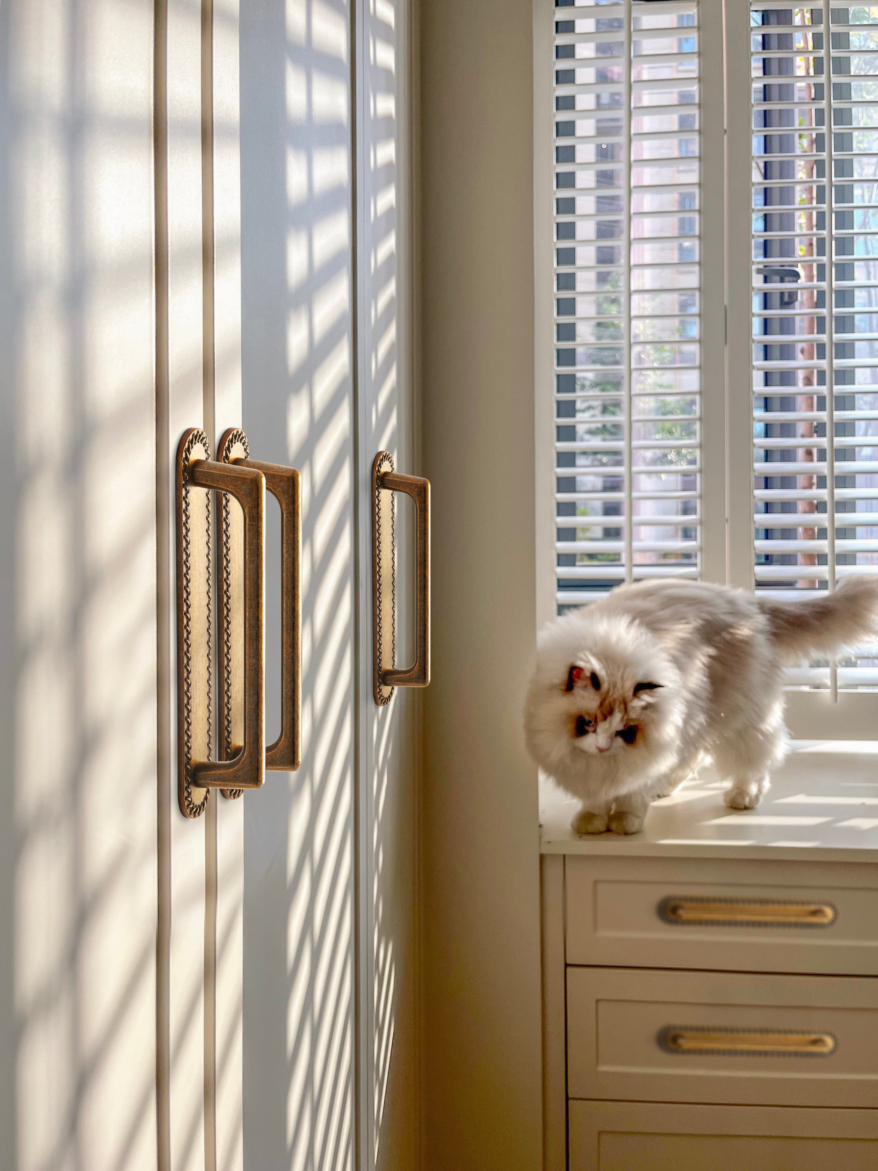 Goo-Ki 2 Pack Classic Cabinet Bar Pulls with Back Plate Zinc Alloy Cabinet Handle with Long Back Plate