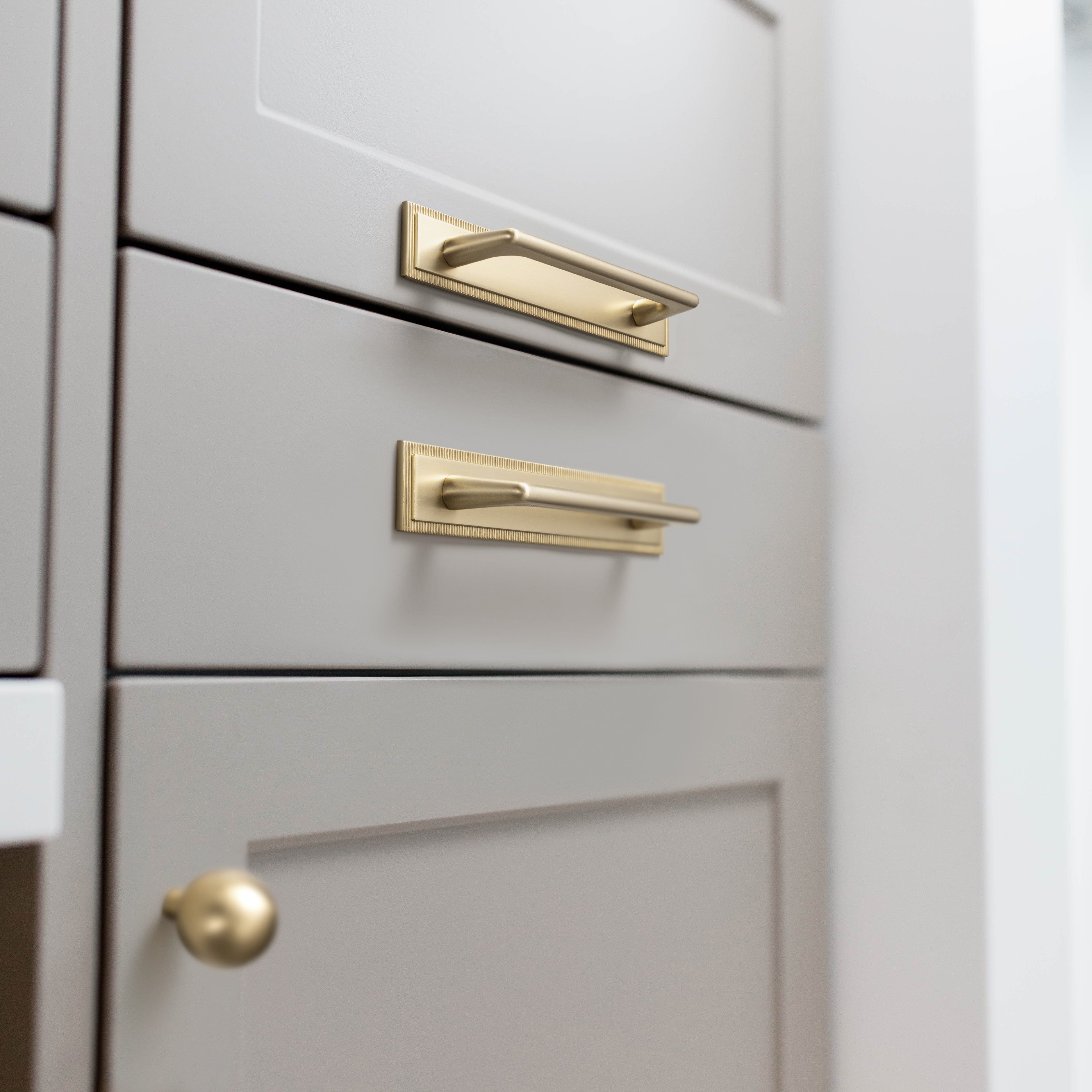 Goo-Ki 2 Pack Classic Cabinet Bar Pulls with Back Plate Zinc Alloy Cabinet Handle with Long Back Plate