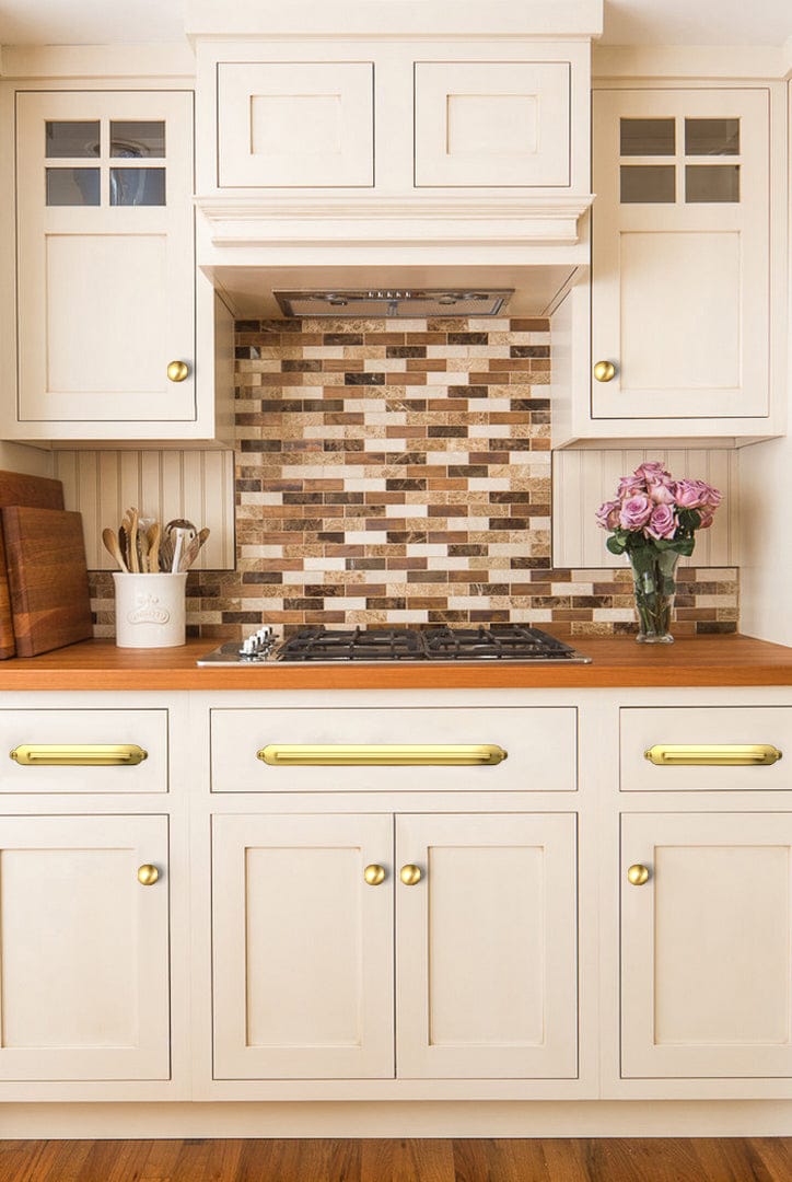 Goo-Ki 2 Pack Classic Cabinet Bar Pulls with Back Plate Zinc Alloy Cabinet Handle with Long Back Plate