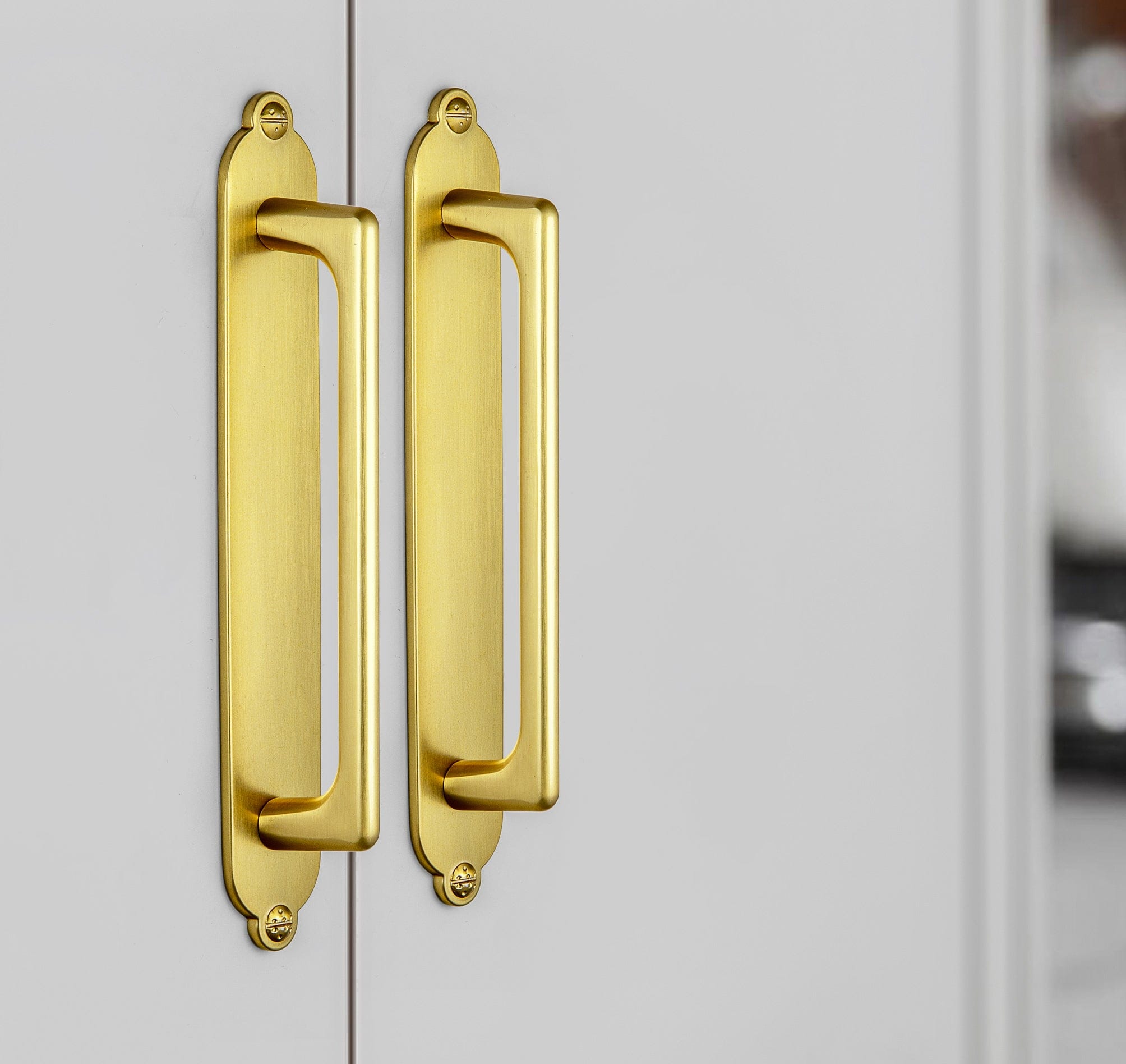 Goo-Ki 2 Pack Classic Cabinet Bar Pulls with Back Plate Zinc Alloy Cabinet Handle with Long Back Plate