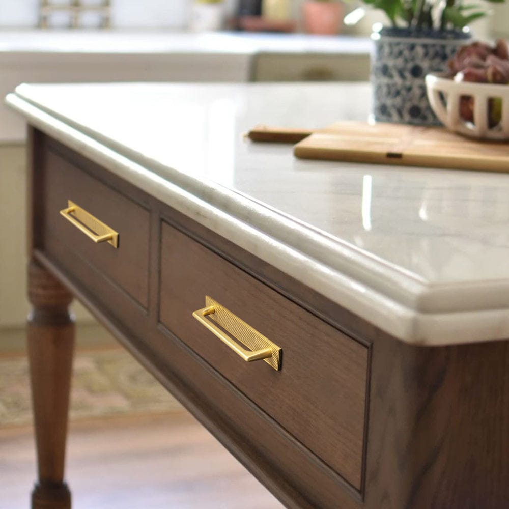 Goo-Ki 2 Pack Classic Cabinet Bar Pulls with Back Plate Zinc Alloy Cabinet Handle with Long Back Plate