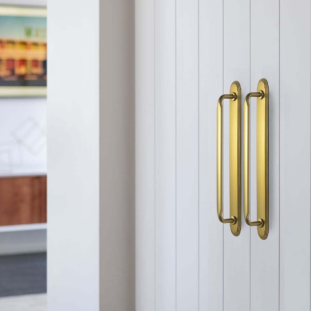 Goo-Ki 2 Pack Elegant Vintage Zinc Alloy Cabinet Handles with Long Backplate, Classic Furniture Hardware for Cabinets, Wardrobes & Dressers