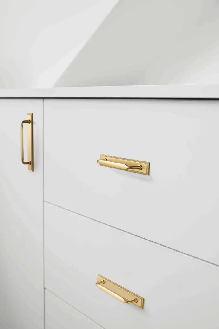Goo-Ki 2 Pack Elegant Vintage Zinc Alloy Cabinet Handles with Long Backplate, Classic Furniture Hardware for Cabinets, Wardrobes & Dressers