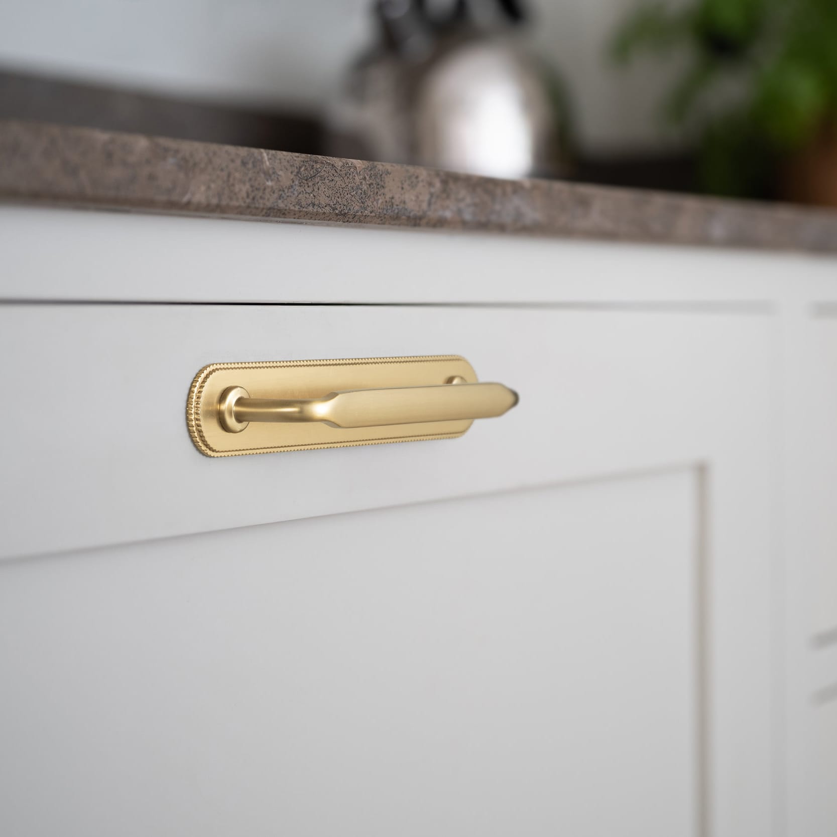Goo-Ki 2 Pack Elegant Vintage Zinc Alloy Cabinet Handles with Long Backplate, Classic Furniture Hardware for Cabinets, Wardrobes & Dressers