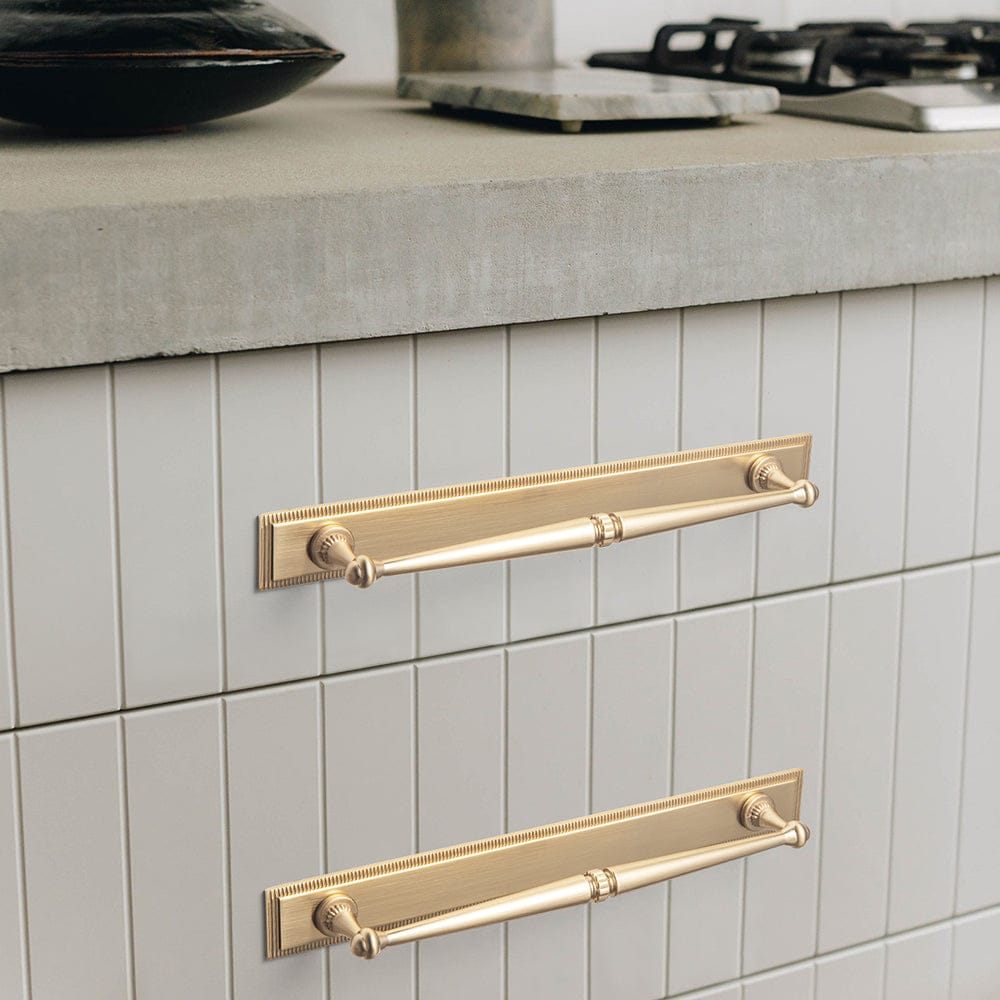 Goo-Ki 2 Pack Ornate Vintage Brass Drawer Pulls - Classic Cabinet Handles with Decorative Back Plates