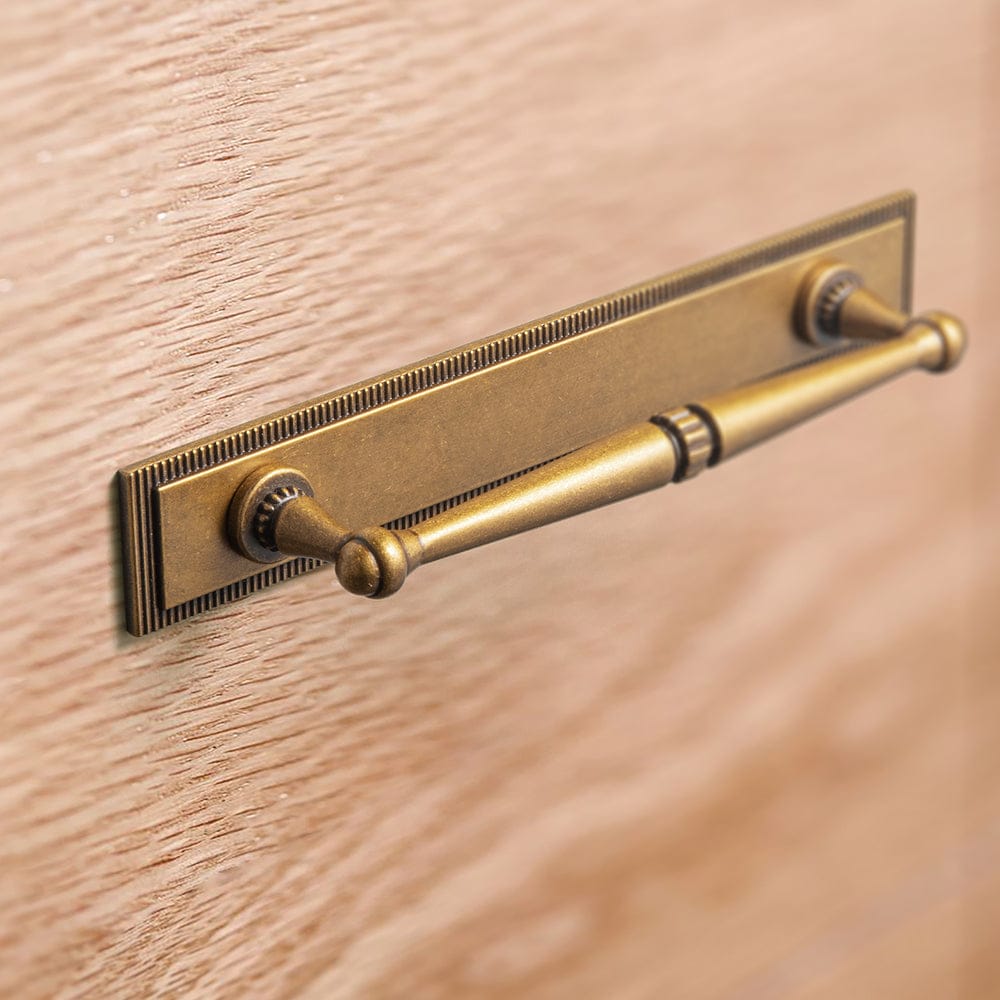 Goo-Ki 2 Pack Ornate Vintage Brass Drawer Pulls - Classic Cabinet Handles with Decorative Back Plates