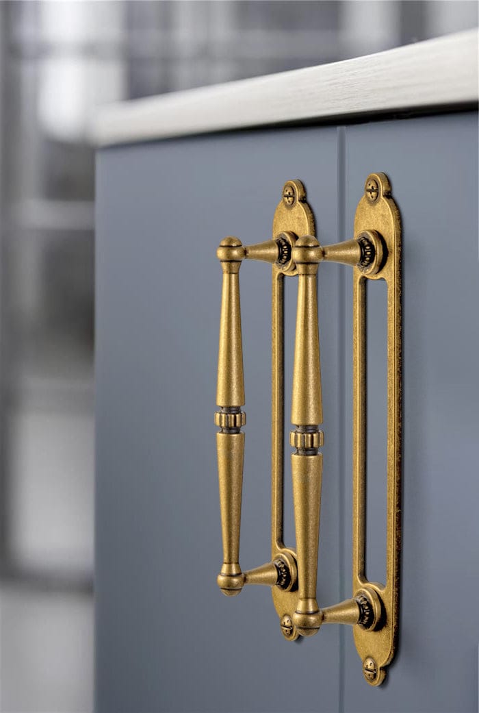 Goo-Ki 2 Pack Ornate Vintage Brass Drawer Pulls - Classic Cabinet Handles with Decorative Back Plates