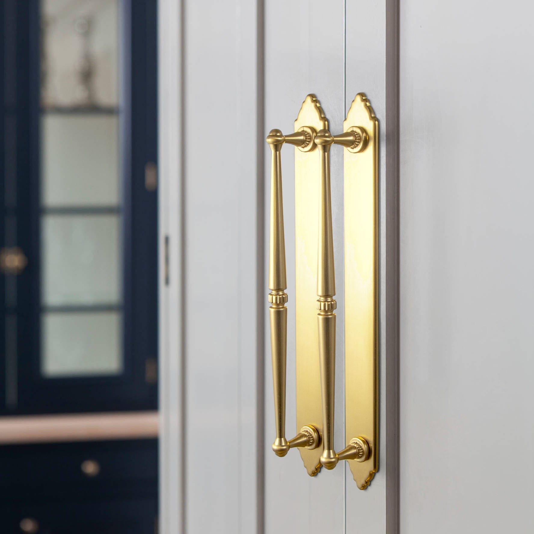 Goo-Ki 2 Pack Ornate Vintage Brass Drawer Pulls - Classic Cabinet Handles with Decorative Back Plates