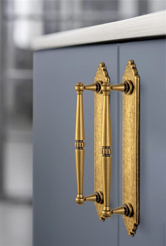 Goo-Ki 2 Pack Ornate Vintage Brass Drawer Pulls - Classic Cabinet Handles with Decorative Back Plates