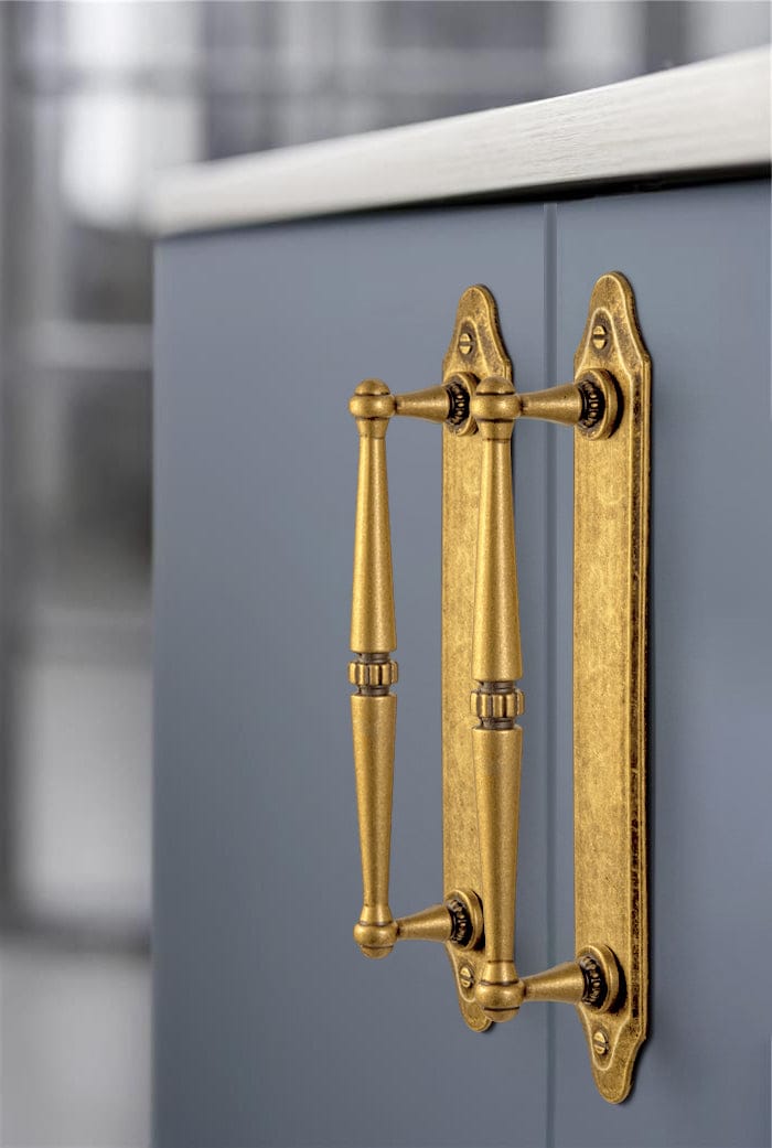 Goo-Ki 2 Pack Ornate Vintage Brass Drawer Pulls - Classic Cabinet Handles with Decorative Back Plates