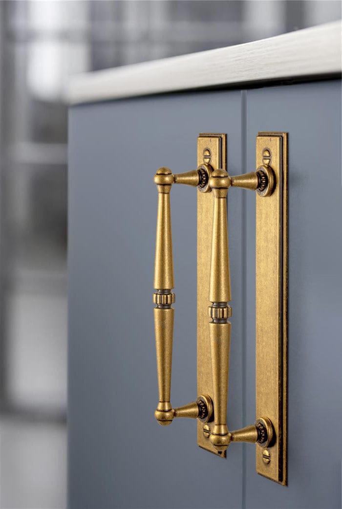 Goo-Ki 2 Pack Ornate Vintage Brass Drawer Pulls - Classic Cabinet Handles with Decorative Back Plates