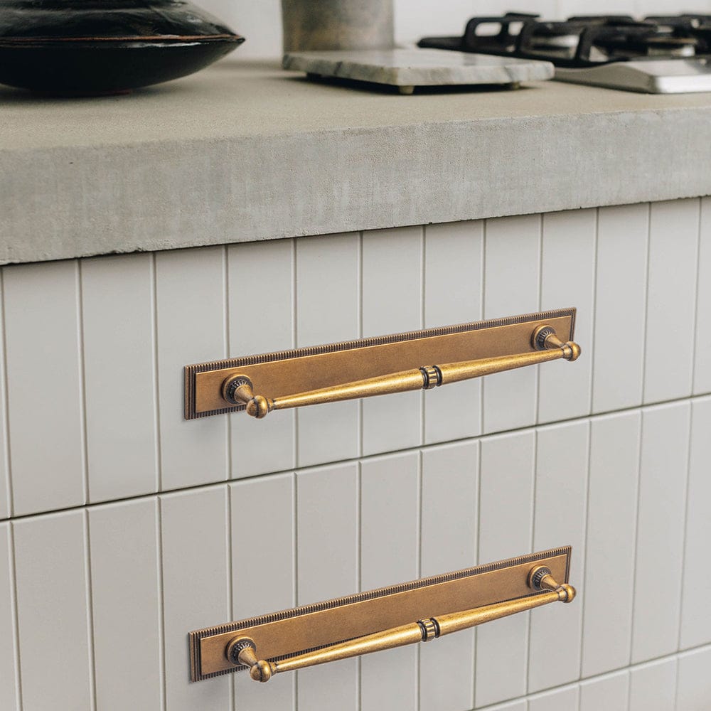 Goo-Ki 2 Pack Ornate Vintage Brass Drawer Pulls - Classic Cabinet Handles with Decorative Back Plates
