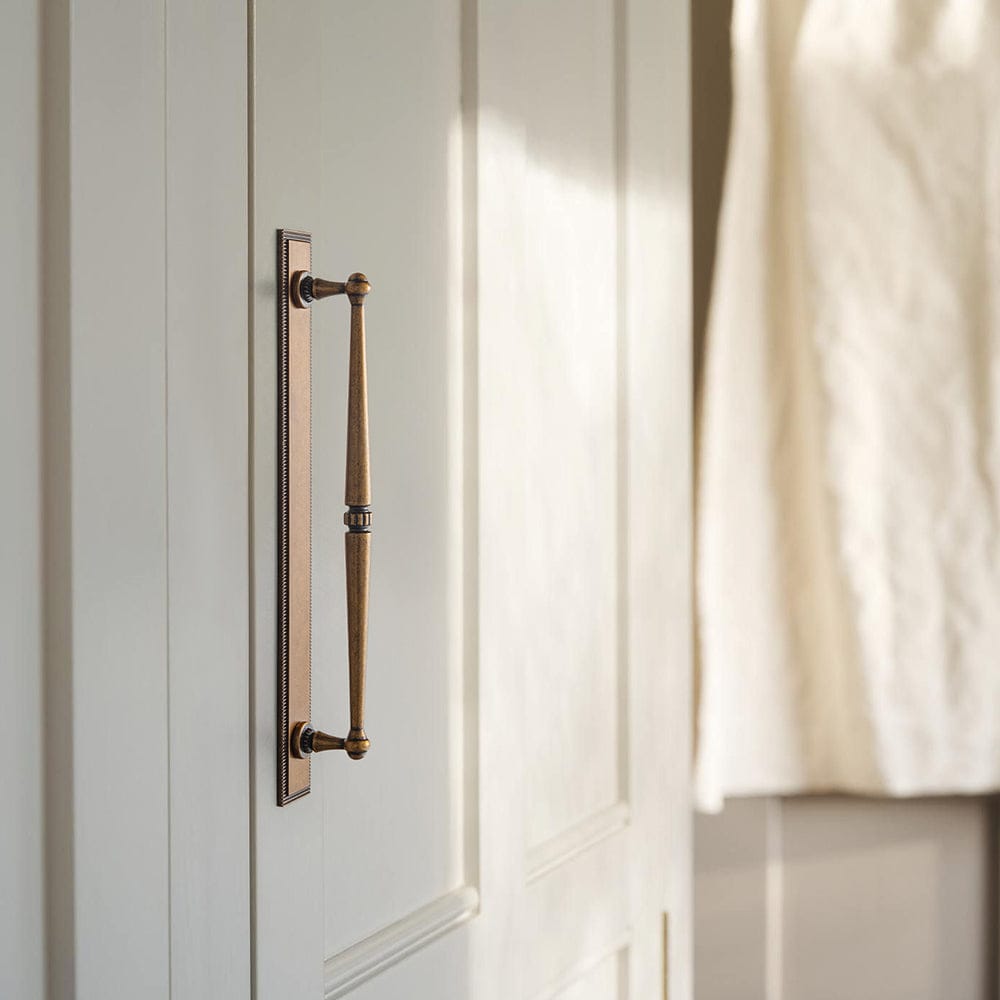 Goo-Ki 2 Pack Ornate Vintage Brass Drawer Pulls - Classic Cabinet Handles with Decorative Back Plates