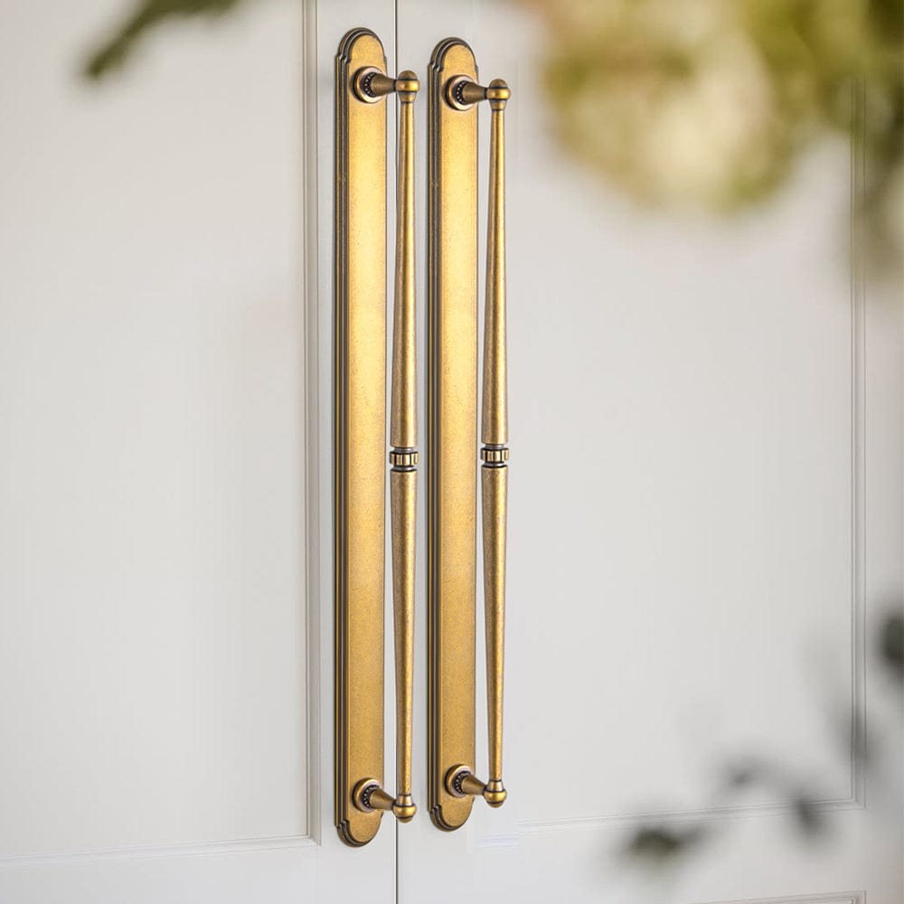 Goo-Ki 2 Pack Ornate Vintage Brass Drawer Pulls - Classic Cabinet Handles with Decorative Back Plates