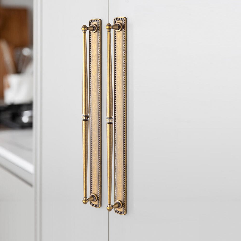 Goo-Ki 2 Pack Ornate Vintage Brass Drawer Pulls - Classic Cabinet Handles with Decorative Back Plates