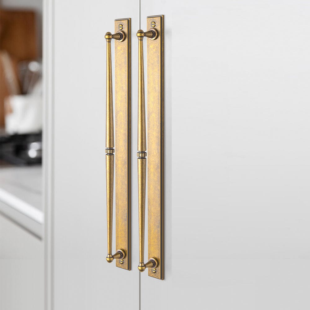 Goo-Ki 2 Pack Ornate Vintage Brass Drawer Pulls - Classic Cabinet Handles with Decorative Back Plates