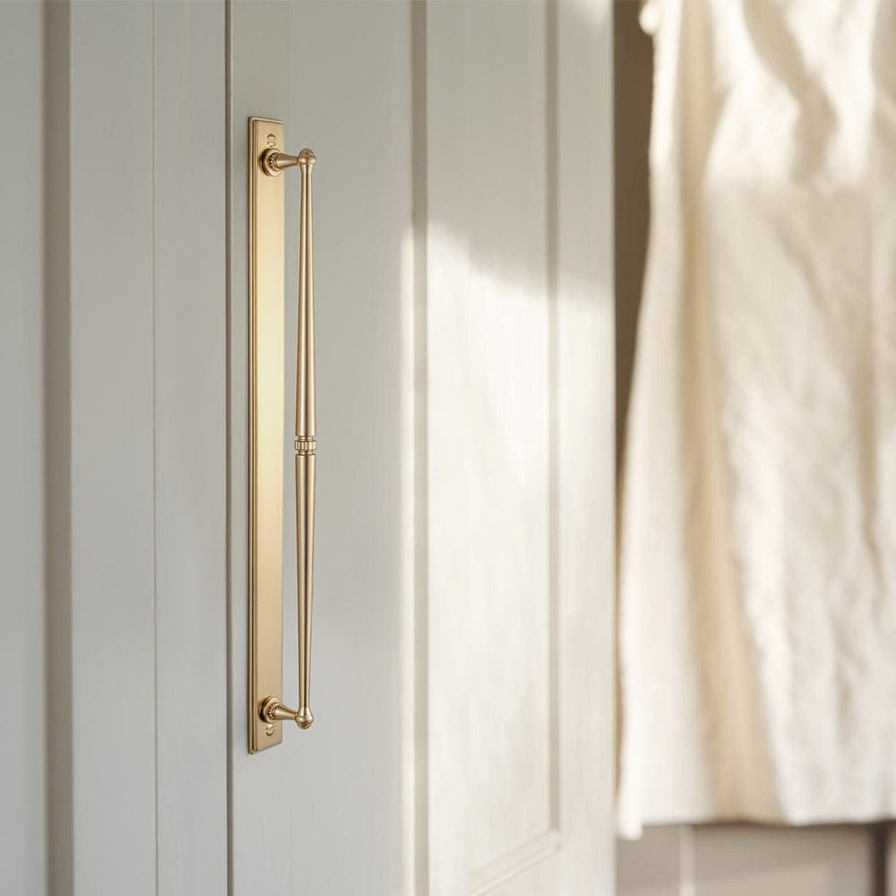 Goo-Ki 2 Pack Ornate Vintage Brass Drawer Pulls - Classic Cabinet Handles with Decorative Back Plates