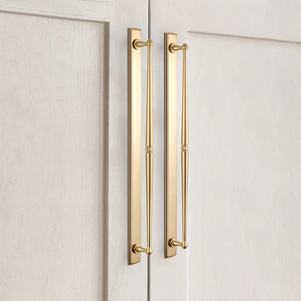 Goo-Ki 2 Pack Ornate Vintage Brass Drawer Pulls - Classic Cabinet Handles with Decorative Back Plates