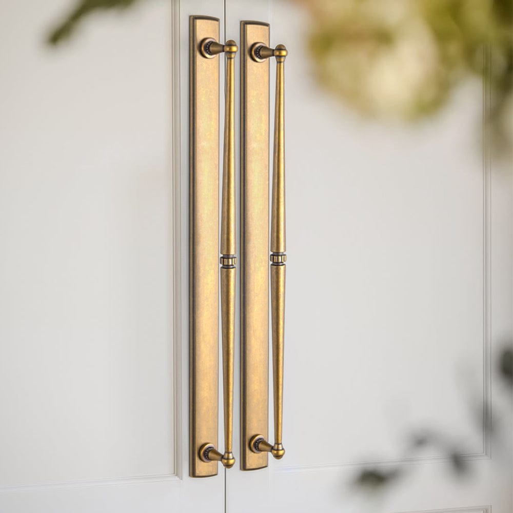 Goo-Ki 2 Pack Ornate Vintage Brass Drawer Pulls - Classic Cabinet Handles with Decorative Back Plates