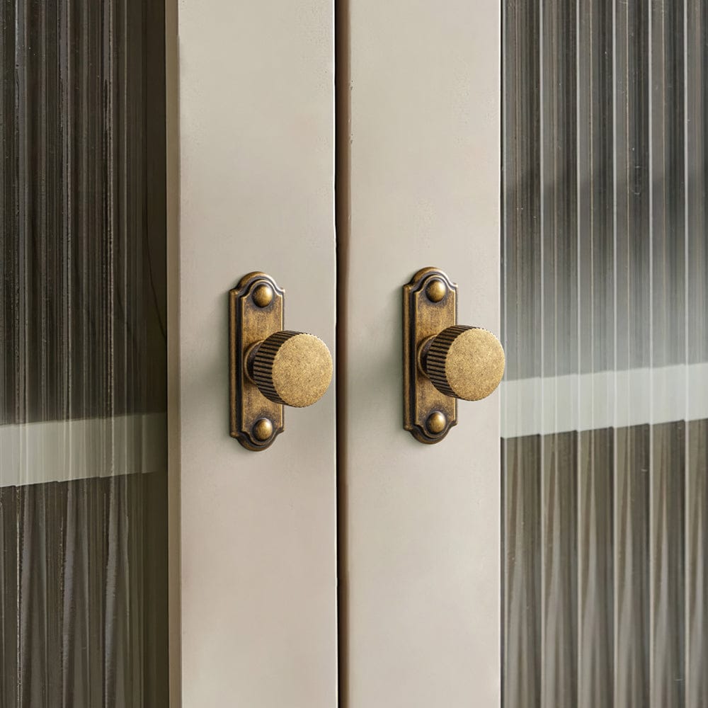Goo-Ki 2 Pack Striped Cabinet Pull Retro Brass Cabinet Handles Knobs with Back Plate