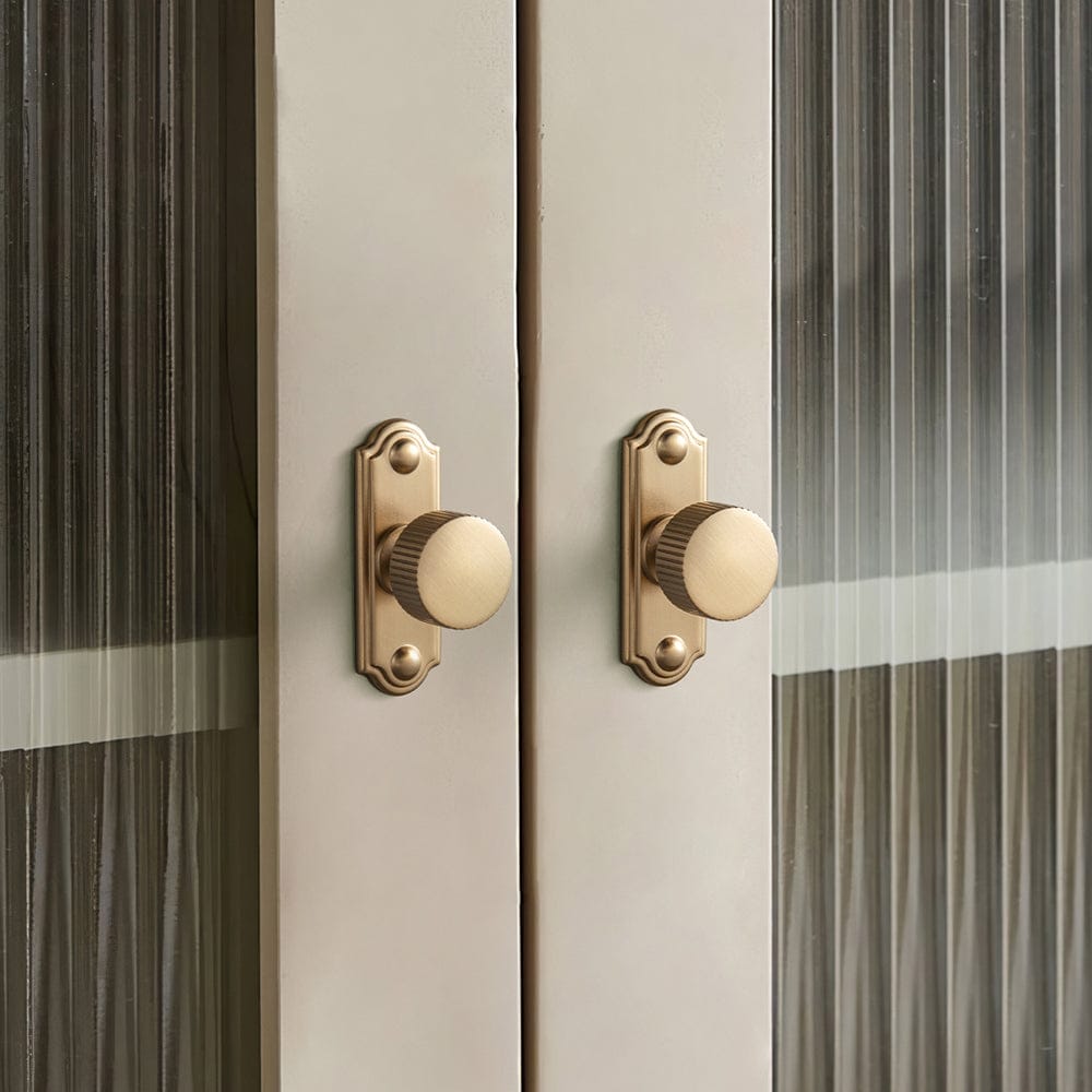 Goo-Ki 2 Pack Striped Cabinet Pull Retro Brass Cabinet Handles Knobs with Back Plate