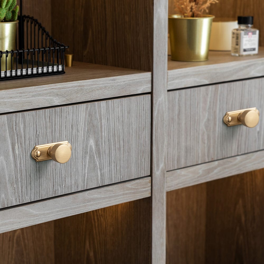 Goo-Ki 2 Pack Striped Cabinet Pull Retro Brass Cabinet Handles Knobs with Back Plate