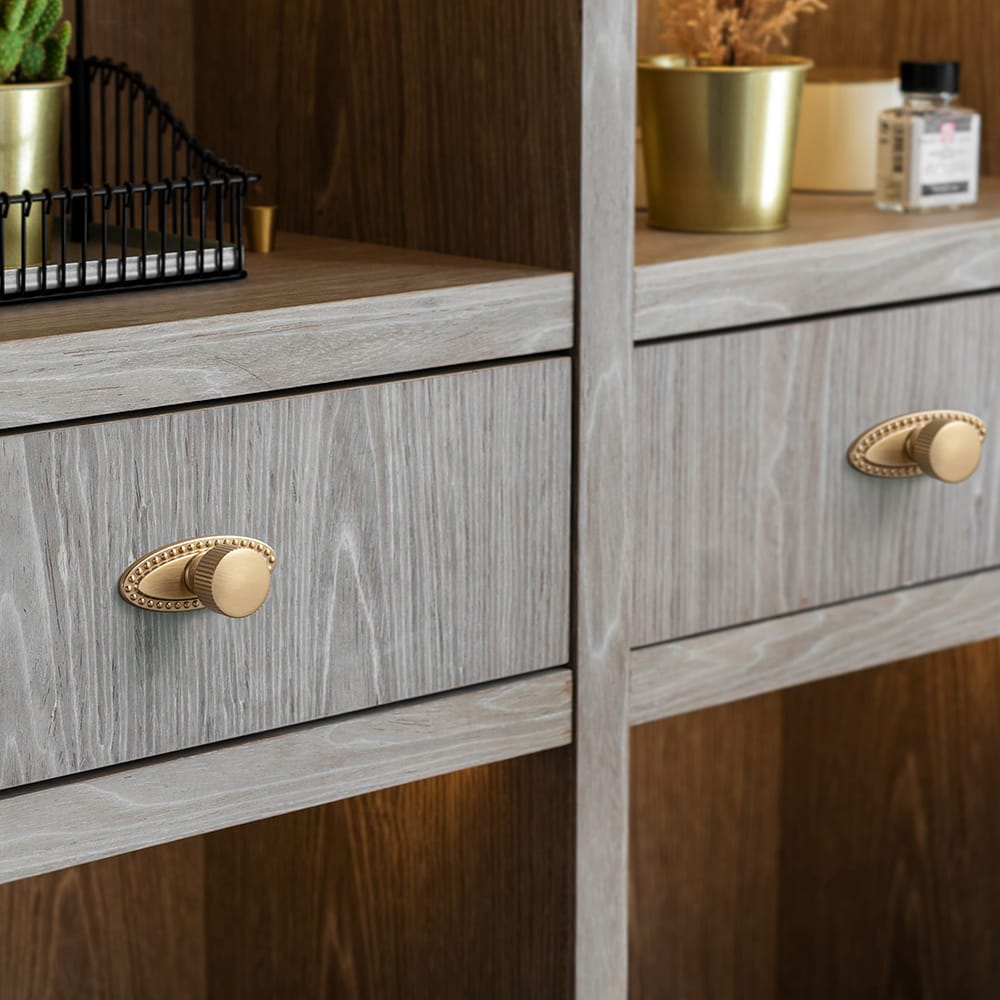 Goo-Ki 2 Pack Striped Cabinet Pull Retro Brass Cabinet Handles Knobs with Back Plate