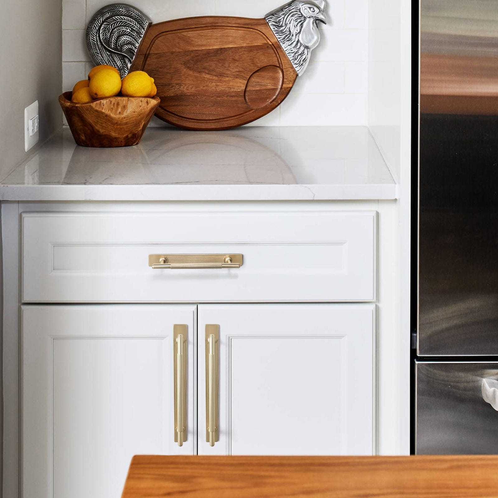 Goo-Ki 2 Pack Vintage Brass Textured Zinc Alloy Cabinet Pulls with Back Plates