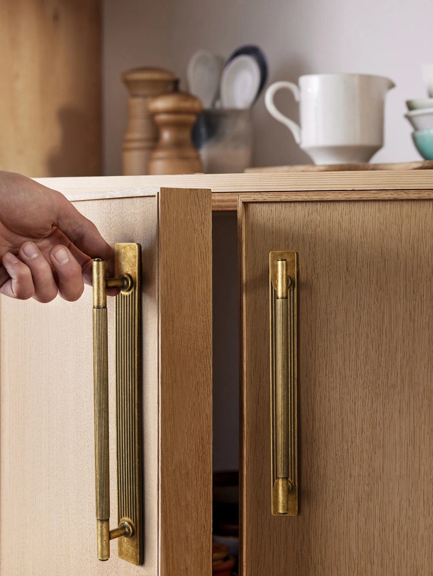 Goo-Ki 2 Pack Vintage Brass Textured Zinc Alloy Cabinet Pulls with Back Plates