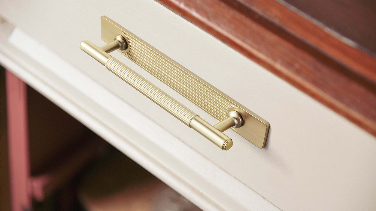 Goo-Ki 2 Pack Vintage Brass Textured Zinc Alloy Cabinet Pulls with Back Plates
