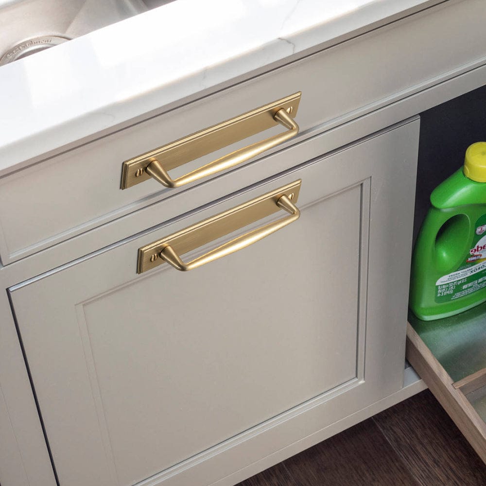 Goo-Ki 2 Pack Vintage Zinc Alloy Cabinet Pulls with Back Plate - Furniture Handles for Kitchen Cupboards