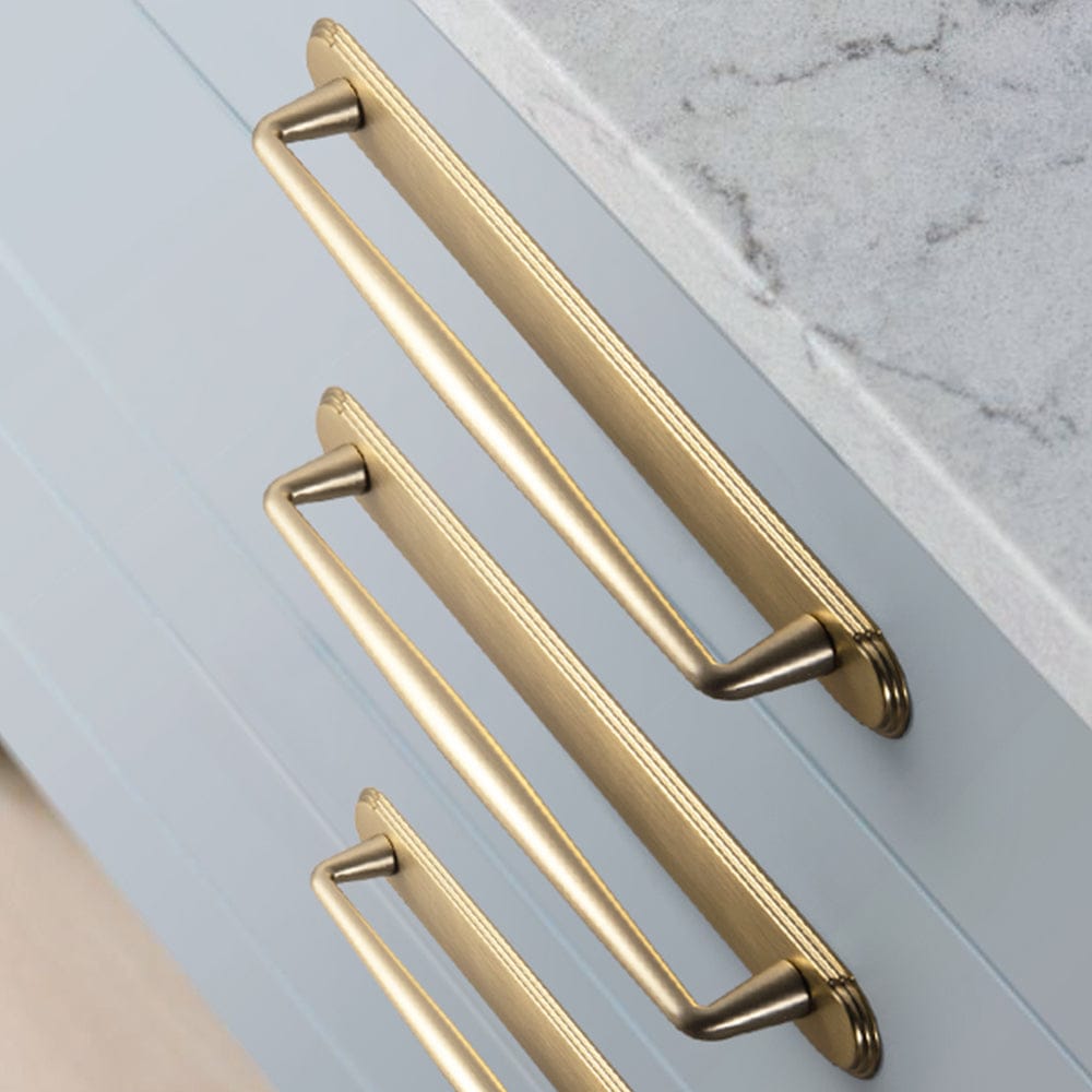 Goo-Ki 2 Pack Vintage Zinc Alloy Cabinet Pulls with Back Plate - Furniture Handles for Kitchen Cupboards