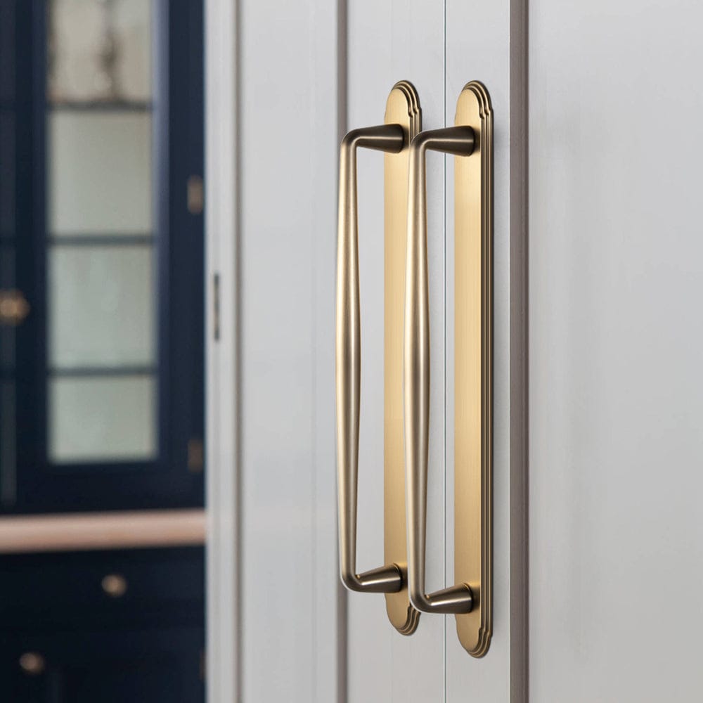 Goo-Ki 2 Pack Vintage Zinc Alloy Cabinet Pulls with Back Plate - Furniture Handles for Kitchen Cupboards