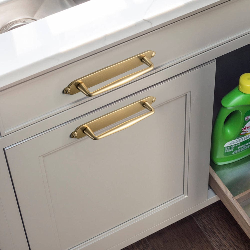 Goo-Ki 2 Pack Vintage Zinc Alloy Cabinet Pulls with Back Plate - Furniture Handles for Kitchen Cupboards