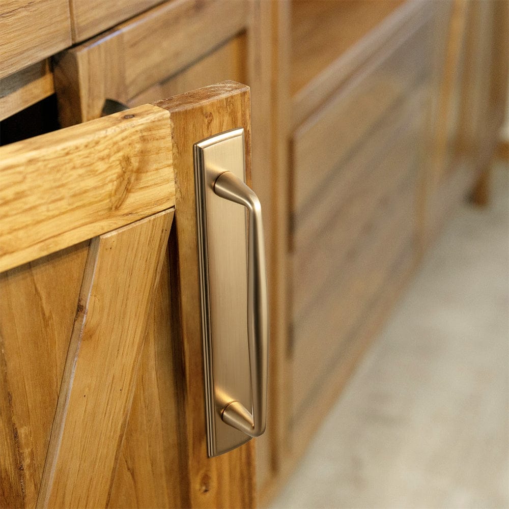 Goo-Ki 2 Pack Vintage Zinc Alloy Cabinet Pulls with Back Plate - Furniture Handles for Kitchen Cupboards