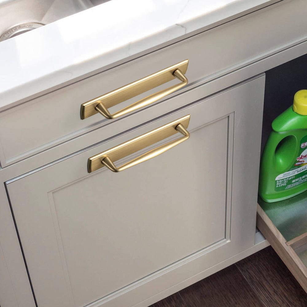 Goo-Ki 2 Pack Vintage Zinc Alloy Cabinet Pulls with Back Plate - Furniture Handles for Kitchen Cupboards