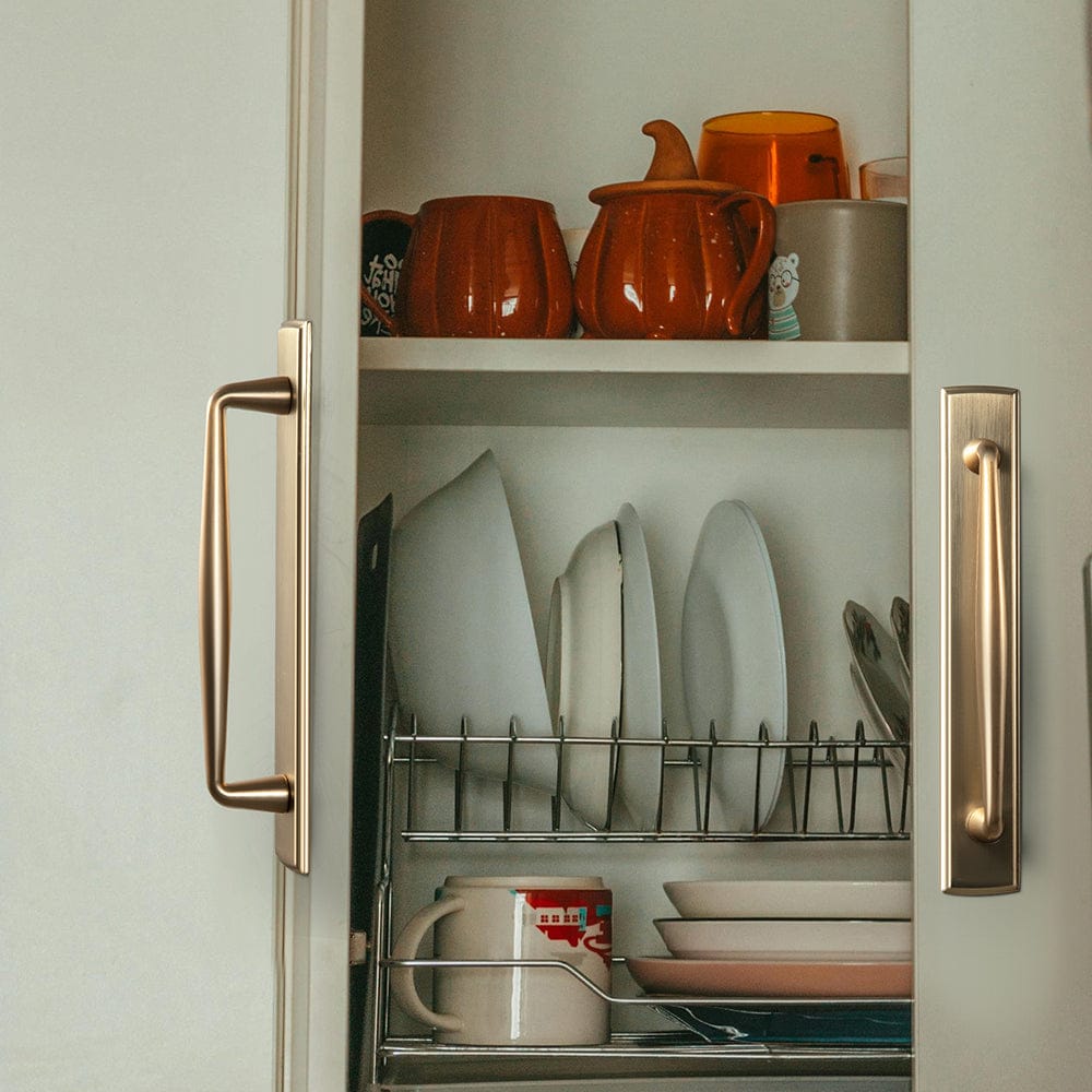 Goo-Ki 2 Pack Vintage Zinc Alloy Cabinet Pulls with Back Plate - Furniture Handles for Kitchen Cupboards